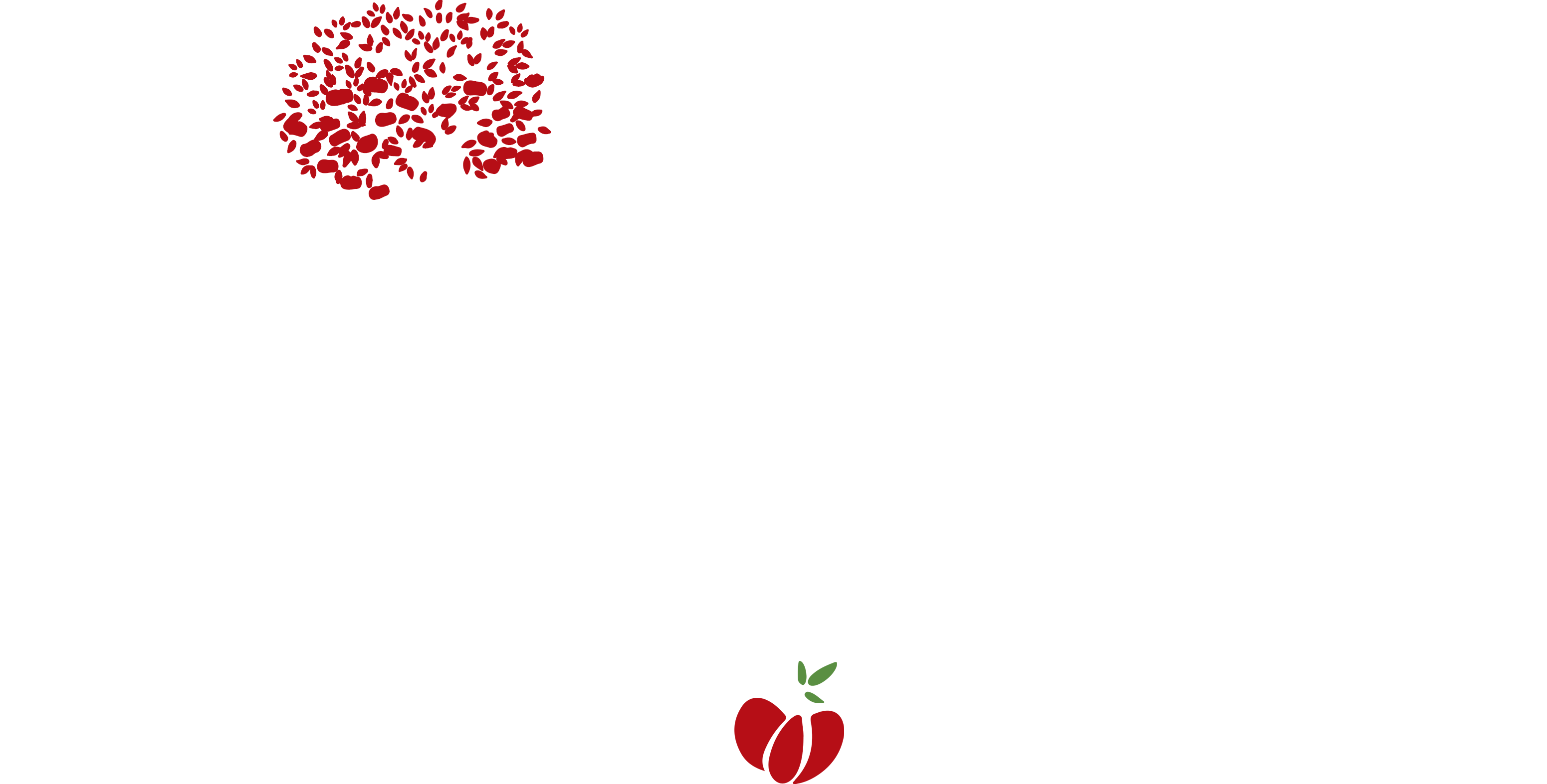 SÍTIO PITANGUEIRAS